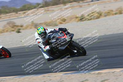 media/Mar-12-2022-SoCal Trackdays (Sat) [[152081554b]]/Turn 14 Inside (155pm)/